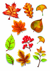 autumn watercolor leaves vector set illustration