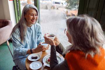 Pretty happy mature women companions with natural grey hair hold cups of hot drinks sitting at...