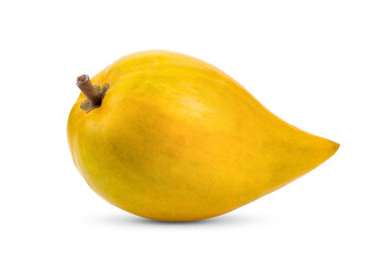 canistel fruit (Egg fruit, Tiesa, Yellow sapote, Canistelsapote, Chesa, Pouteria lucuma) isolated on white