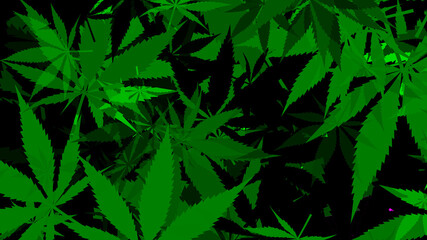 Naklejka na ściany i meble An abstract cannabis leaf pattern background image.