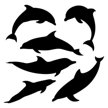 Vector Set of Dolphin Silhouettes On White Background