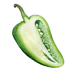 Half green bell pepper. Watercolor hand drawn food illustration. Isolated clipart element on white background