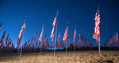 American flags at night