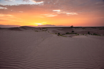 desert dunes landscape at sunrise