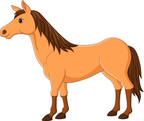 Cartoon brown horse on white background