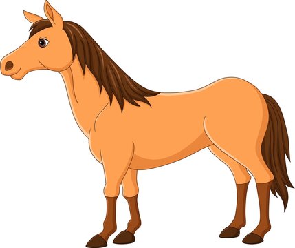 Cartoon brown horse on white background