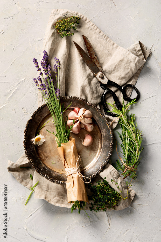 Wall mural Herbs on light gray background.