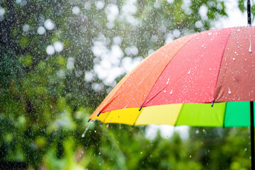 Colorful umbrella in rainy weather.