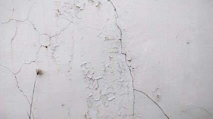 Old cement walls peeling and cracking.