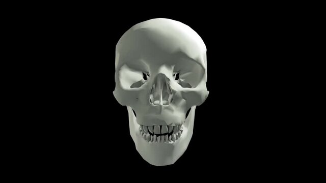 Skull on a black background 3d Rendering. 3d render of isolated skull model. High detailed. Black background. Rotation animation and opening mouth and closing stock video.