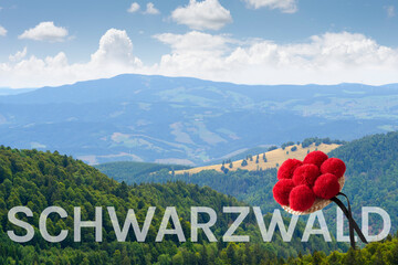 Schwarzwald - obrazy, fototapety, plakaty