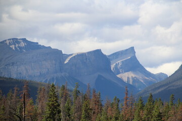 Fototapeta premium Dark Mountains, Jasper National Park, Alberta