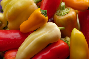 Sweet peppers of different varieties and colors close up