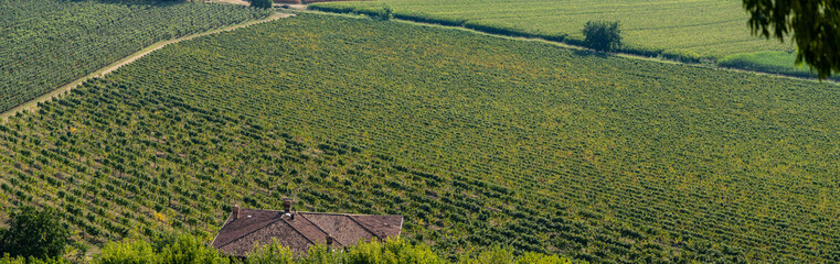 Aerial view of the Italian vineyards. Landscape at the vineyards of the Franciacorta area in Italy....