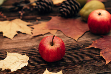 Autumn flat lay made of red apples, quince, colorful maple leaves and cones on a dark wooden background.Harvest concept.Concept of Thanksgiving day. Selective focus.