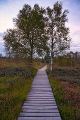 Farbenpracht im Heideland