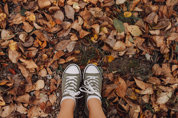 stylish minimalist green sneakers with white nose on ground with colorful autumn leaves. fall atmospheric photo . selective focus