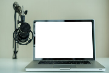 Professional condenser microphone on a microphone holder close up with copyspace.