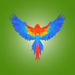 Low poly parrot flying from back view illustration design
