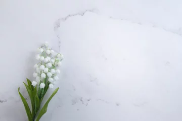 Fotobehang 鈴蘭・すずらん・スズランの花。コピースペース有りの白背景 © patchii