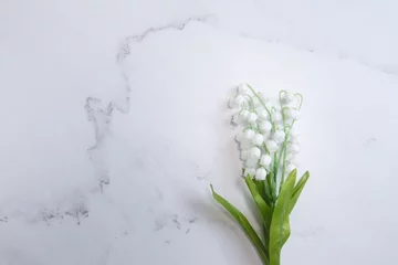 Foto op Aluminium 鈴蘭・すずらん・スズランの花。コピースペース有りの白背景 © patchii