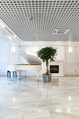 white ceremonial hall with grand piano and potted house tree. 