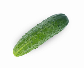 One Green Cucumber Vegetable Isolated