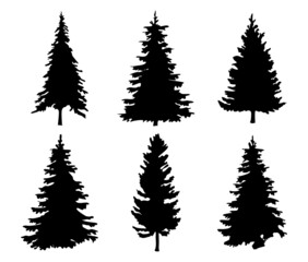 Obraz premium trees silhouettes set. Vector illustration