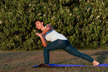 people, fitness, sport and healthy lifestyle concept-sportive asian woman making warrior yoga pose outdoor in green park