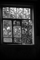 windows of an old abandoned wooden rural hospital in black and white