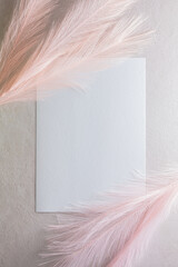 pink artificial p pampas grass with flatley composition with postcard for space for your text