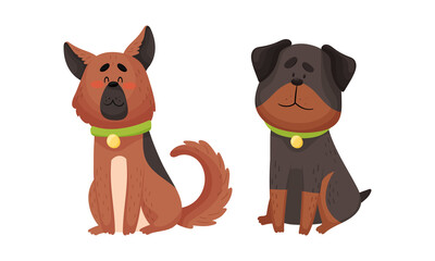 Funny Shepherd Dog and Rottweiler with Collar as Four-legged Friend and Domestic Pet Vector Set