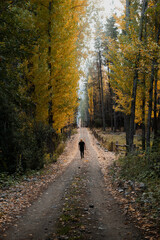 Otoño en Patagonia