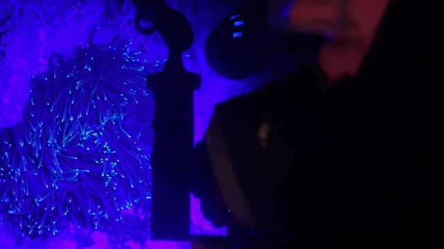 Underwater Photographer taking pictures of Coral Fluorescence during a night dive