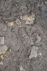 Old dirty wall close up. Grunge abstract photo background.  Beautiful stone texture pattern. Good for post-processing and design
