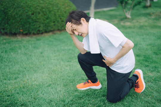 7 922 Best Assimilation Images Stock Photos Vectors Adobe Stock