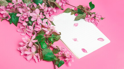 Fototapeta premium flowers with blank white notepad on pink background.