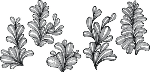 Illustration of leaves . Abstract composition. Vector eps 10
