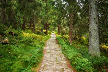 Fototapeta na wymiar Stone path trail in Giant Mountains, Czech Republic.