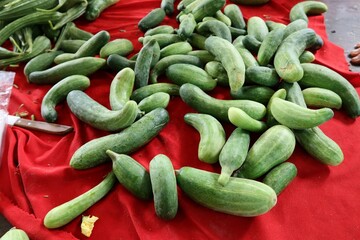 cucumber on the market