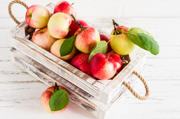 juicy ripe apples in a box on a white wooden table.