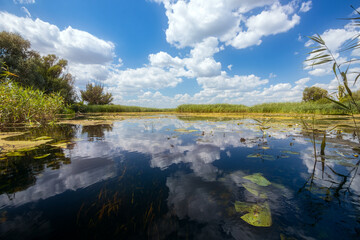 clouds over the river