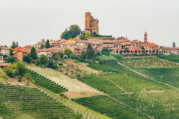 Beautiful view of Serralunga d'Alba with castle and nebbiolo grapes vineyards, Piemonte, Langhe...