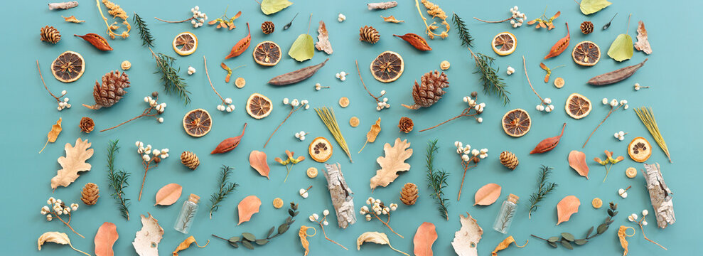 Top view image of autumn forest natural composition over green background .Flat lay