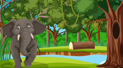 An elephant in forest scene with many trees