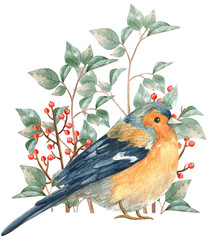 Woodland stories watercolor illustration bird