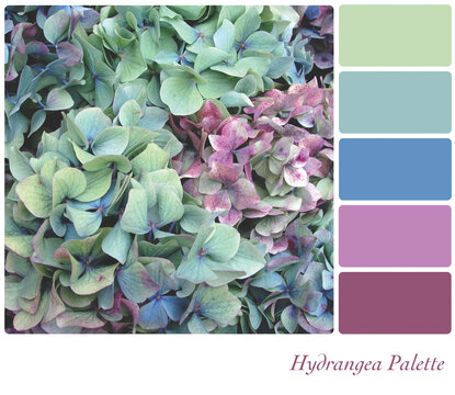 Hydrangea flower background colour palette with complimentary colour swatches