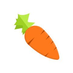 Vector of a fat orange baby carrot with green stems