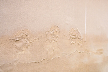 Brown wall damp damaged with peeling paint