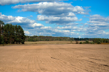 Fototapeta na wymiar clean plowed agricultural field with blue sky on the horizon